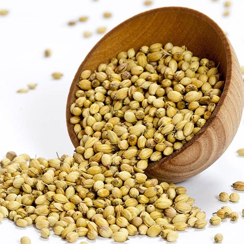 CORIANDER WHOLE